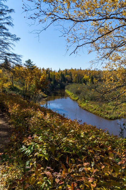 Caduta vista lungo un fiume minnesota