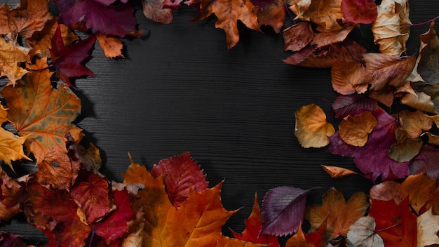 Fallen autumn leaves in the form of a frame copy space for your text
