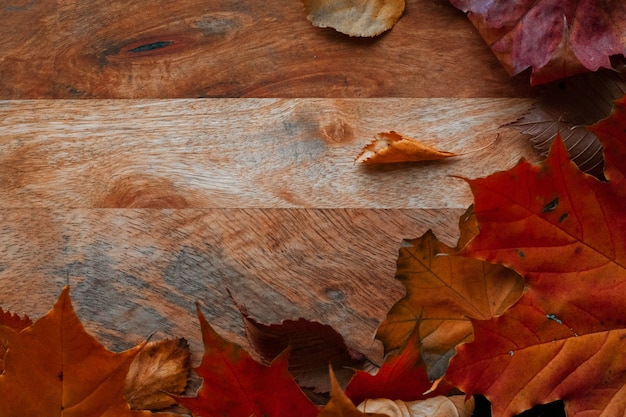 Fallen autumn leaves in the shape of a border copy space for your text