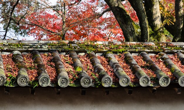 Fallen autumn maple leaves on Japanese temple roof in Kyoto, Japan