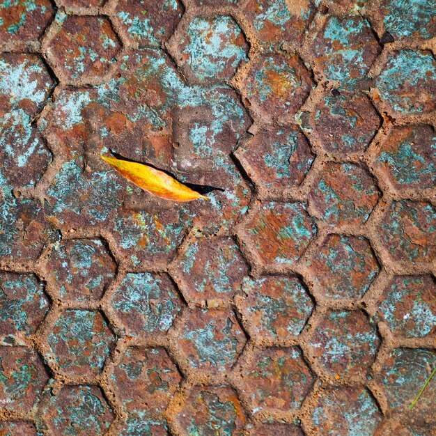  Fallen leaf on the vintage manhole.