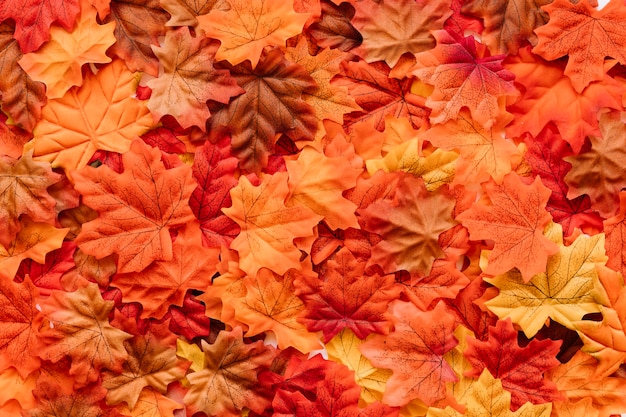 Fallen leaves canvas