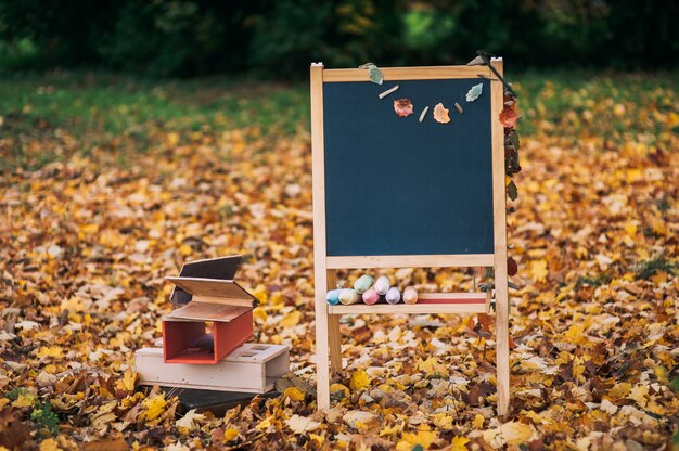 fallen leaves, chalk blackboard