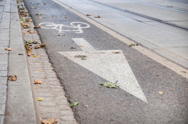 опавшие листья на узкой асфальтовой дороге для велосипедистов