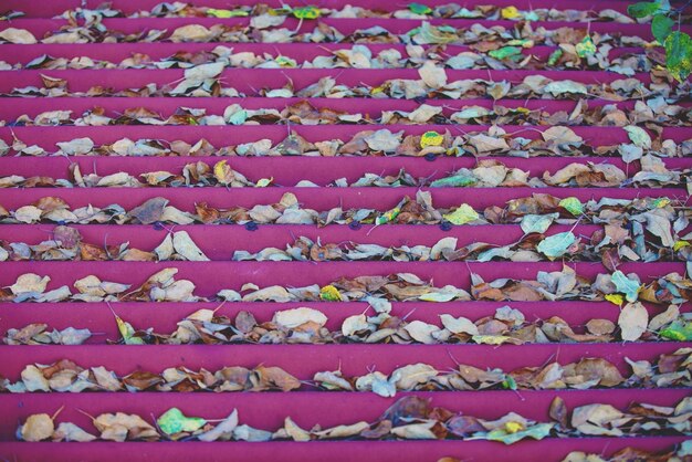 Photo fallen leaves on the wavy roof autumn background