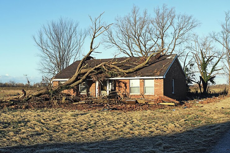 Foto fallen_tree_storm_recovery_efforts