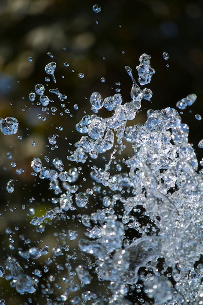 Fallen water droplets