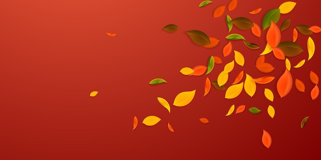 Осенние листья красные желтые зеленые коричневые хаотические листья летающие взрыв красочные листья на бре