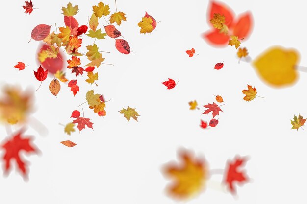 Photo falling autumn maple natural leaves on blurred background 3d rendering