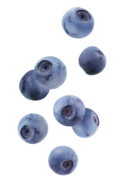 Falling blueberries isolated