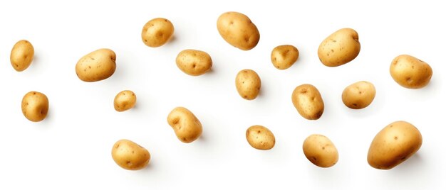 Falling Fresh Potatoes On Transparent Or White Background