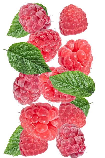 Falling fresh ripe raspberries and green leaves on a white background