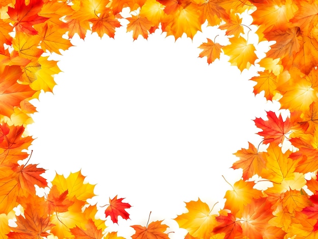 Falling g autumn maple leaves shaped frame fall background