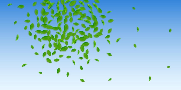 Фото Падающие зеленые листья свежий чай хаотические листья летят весенняя листва танцует на фоне голубого неба удивительный летний шаблон наложения необычайная весенняя распродажа векторная иллюстрация