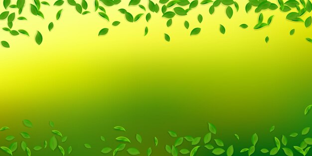 Falling green leaves Fresh tea chaotic leaves flying Spring foliage dancing on white background Amusing summer overlay template Fascinating spring sale vector illustration