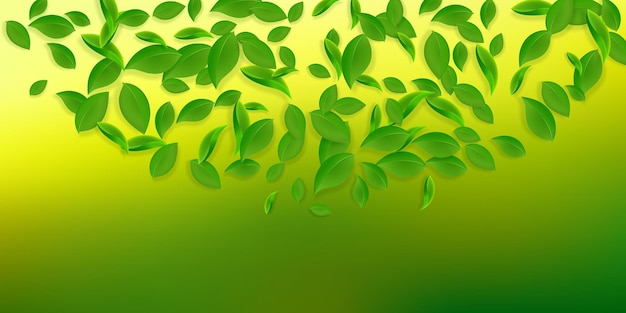 Falling green leaves fresh tea chaotic leaves flying spring\
foliage dancing on white background appealing summer overlay\
template indelible spring sale vector illustration