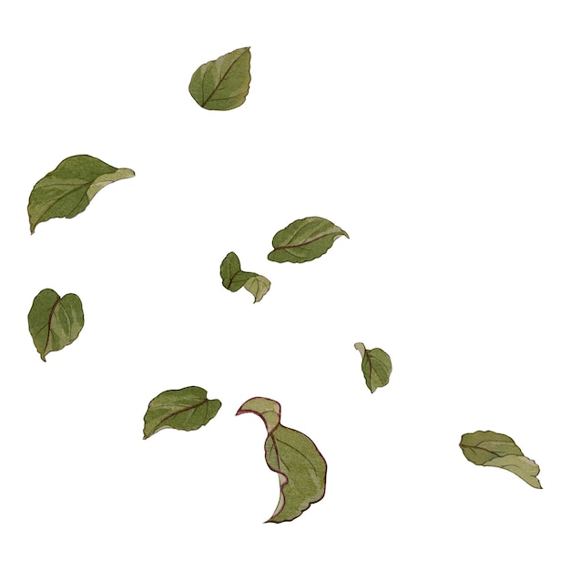 떨어지는 잎 png 스티커 투명한 배경