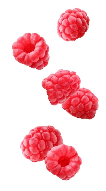 Falling raspberries isolated. whole berries without leaves in the air.