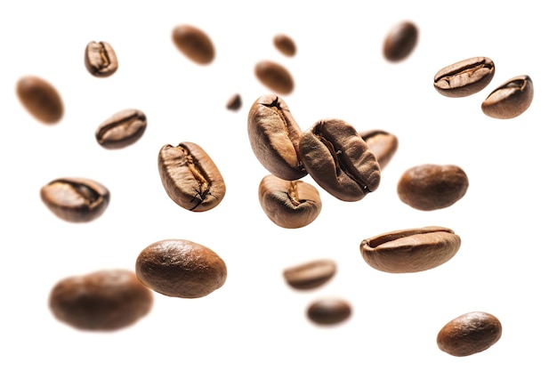 Falling roasted coffee beans isolated on white background with selective focus