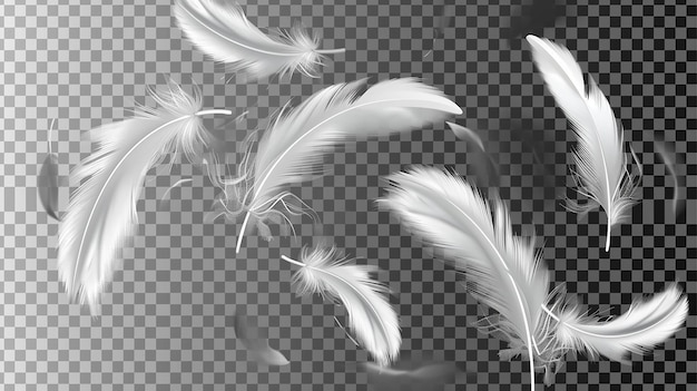 Falling white soft feathers bird plumage splash