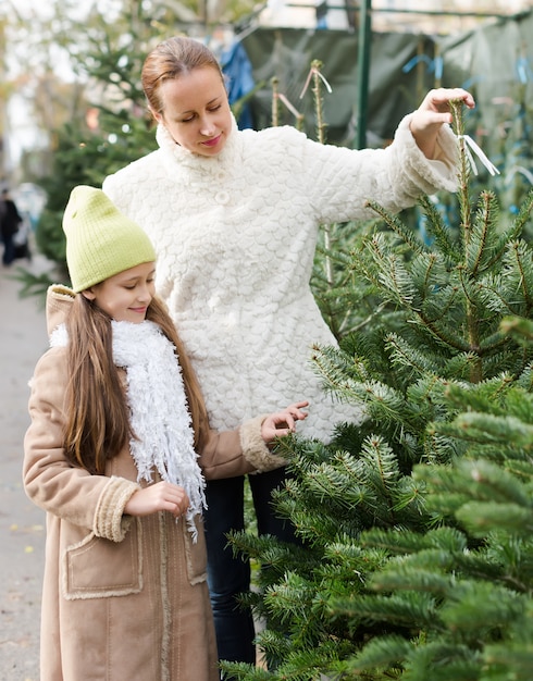 Familie die Kerstboom kiest bij markt