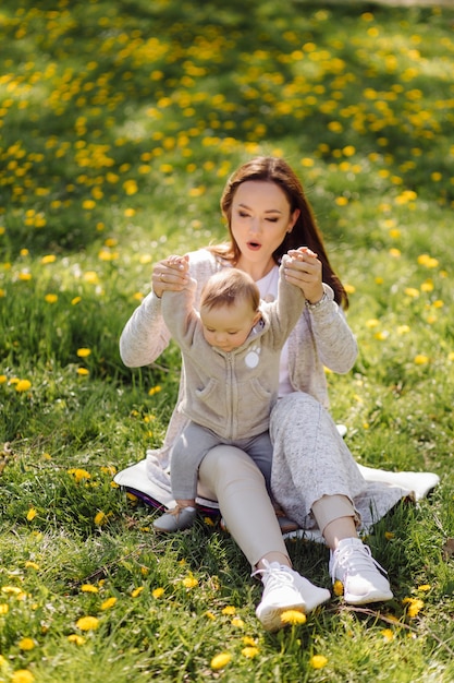 Familie die van wandeling In Park geniet