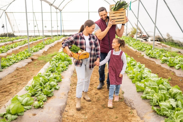 Familie landbouw en boer ouders meisje en biologische groenteproducten in een kas in het voorjaar Gelukkig moeder vader en kind met doos groenten op landbouwbedrijf of voedingstuin