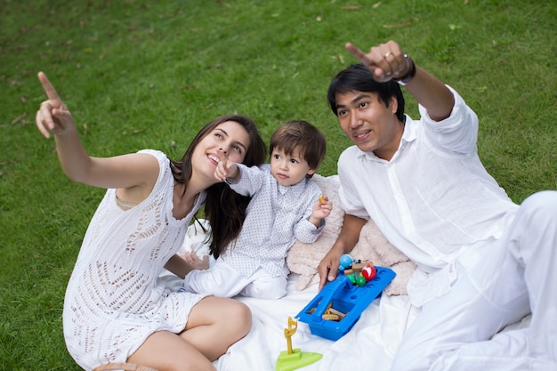 Familie picknicken in het park