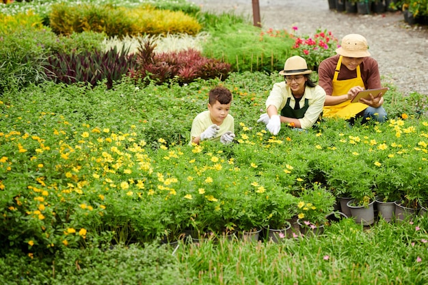 Familie tellen bloeiende bloemen