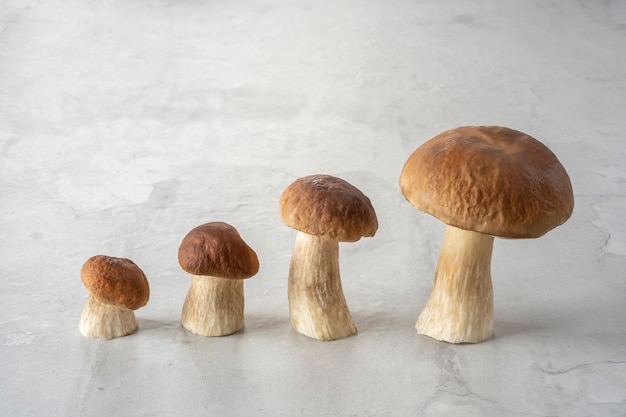 Familie van bospaddestoelen op de betonnen keukentafel.