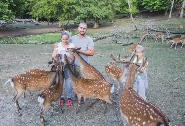 familie voedt een kudde herten in het bos