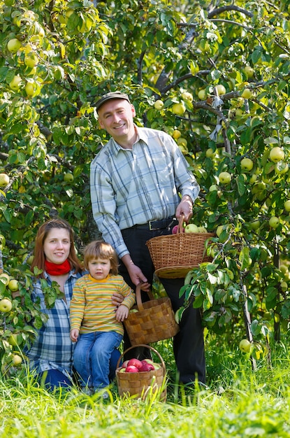 Familieoogsttuin onder de appelboom