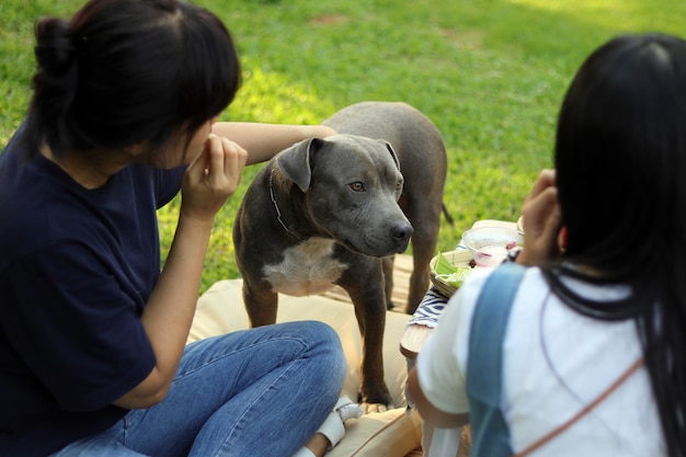 写真 家族と犬