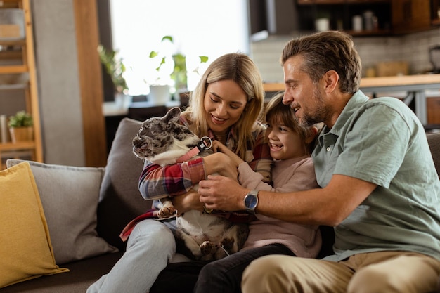 Family bonding time with playful french bulldog pup in cozy living room