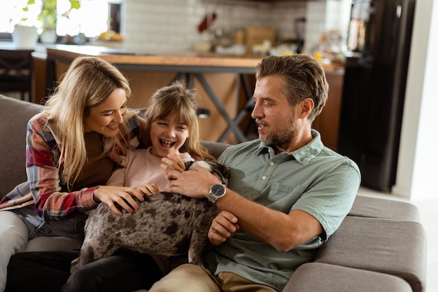 Photo family bonding time with playful french bulldog pup in cozy living room