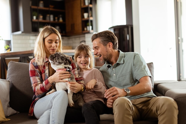 快適なリビングルームで遊び心のあるフレンチブルドッグの子犬と家族の結びつきの時間