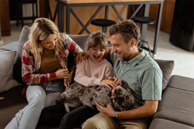 Photo family bonding time with playful french bulldog pup in cozy living room