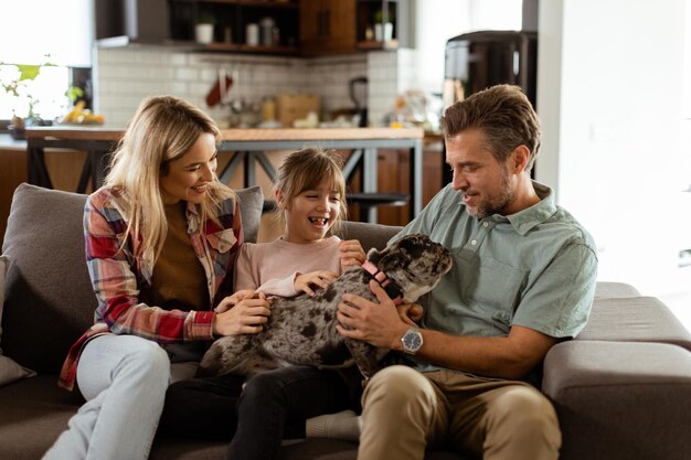 Photo family bonding time with playful french bulldog pup in cozy living room