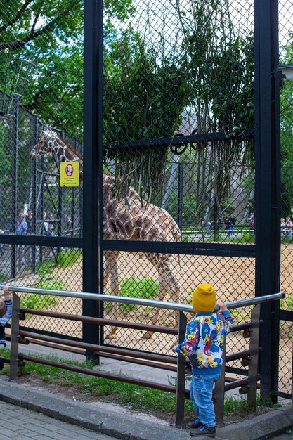 the family came to the zoo to look at the giraffe