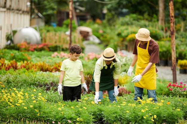 Family Caring about Plants