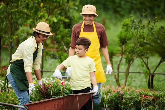 Family Collecting Plants in Wheelbarrow