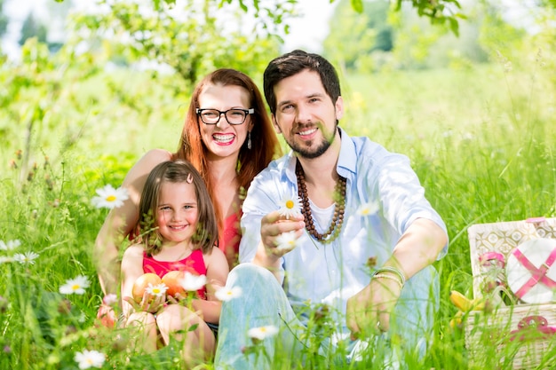 Family having picnic on meadow with healthy fruit