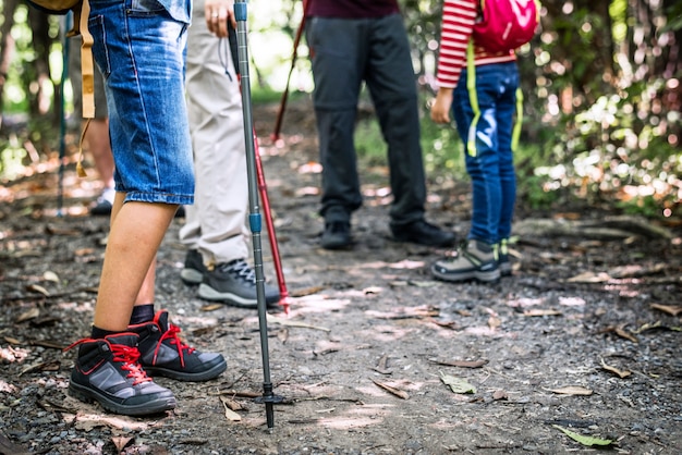 Family hiking in the forest