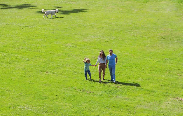 Family leisure time outdoor portrait of happy family in summer park young couple with child boy on g