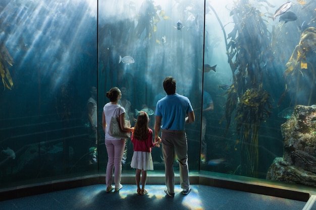 Family looking at fish tank