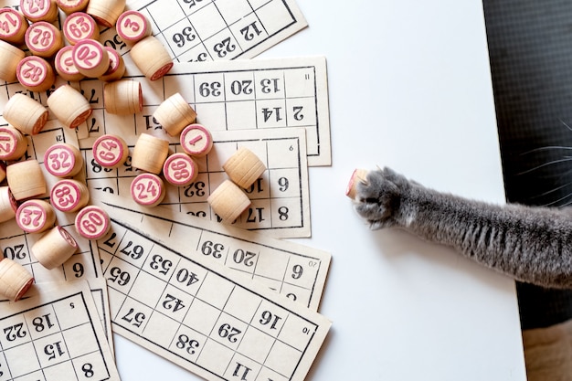 Family Lotto board game. Cards and barrels with numbers.