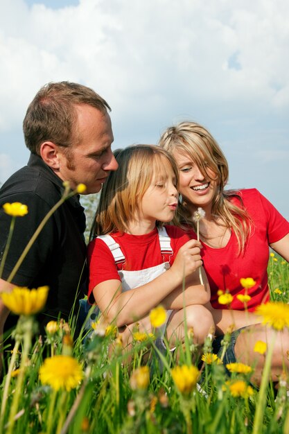 Family in meadow