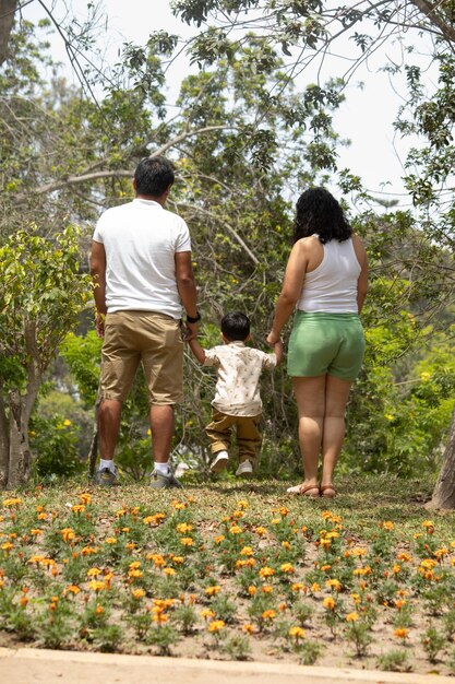Члены семьи, держащиеся за руки и идущие взад в парке вместе с семьей