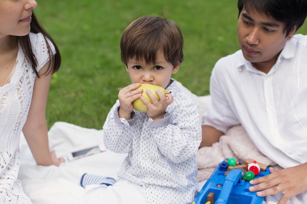 Family picnicking in the park