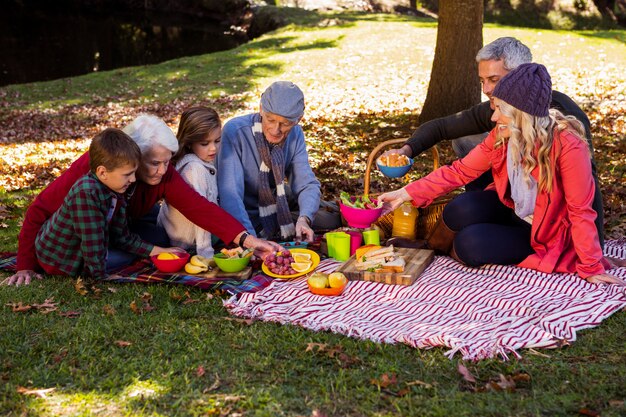 Family picnicking